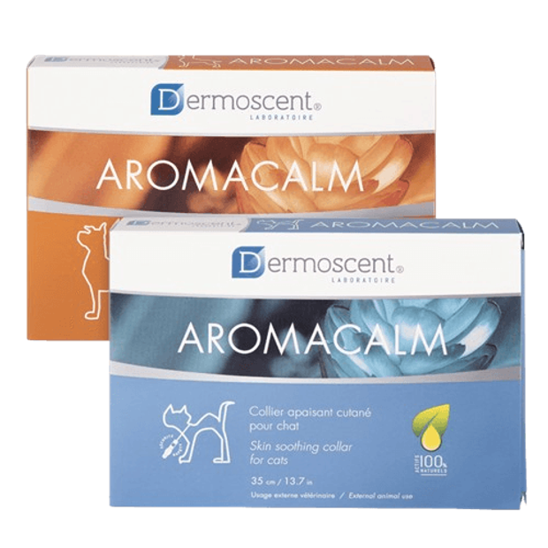 封面-aromacalm-removebg-preview.png